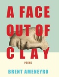 Cover: A Face Out of Clay - Center for Literary Publishing