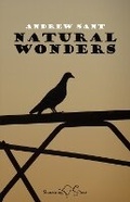 Cover: Natural Wonders - Shoestring Press
