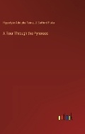 Cover: A Tour Through the Pyrenees - Outlook Verlag