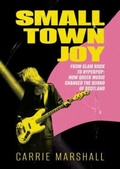 Cover: Small Town Joy - 404 Ink