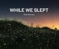 Cover: While We Slept - Oro Editions