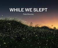 Enlarge image Cover: While We Slept - Oro Editions