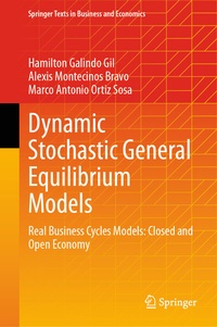 Abbildung von: Dynamic Stochastic General Equilibrium Models - Springer