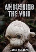 Cover: Ambushing the Void - FEP2022