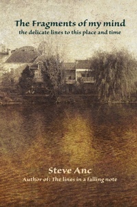 Abbildung von: The Fragments of My Mind - Prolific Pulse Press LLC