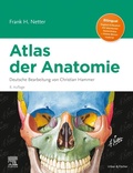 Bild: Netter Atlas der Anatomie - Urban & Fischer