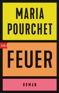 Cover: Feuer - btb