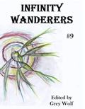 Cover: Infinity Wanderers 9 - Selornia