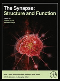 Abbildung von: The Synapse - Academic Press