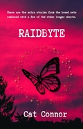 Cover: Raidbyte (Byte Series, #13) - 9mm Press