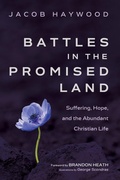 Cover: Battles in the Promised Land - Wipf and Stock Publishers