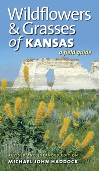 Abbildung von: Wildflowers and Grasses of Kansas - University Press of Kansas