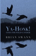 Cover: Ya-Honk! Goes the Wild Gander - Madhat, Inc.