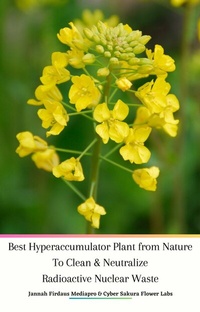 Abbildung von: Best Hyperaccumulator Plant from Nature To Clean & Neutralize Radioactive Nuclear Waste - Jannah Firdaus Mediapro Publishing