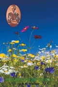 Cover: Wildflower Seeds - Prv, LLC