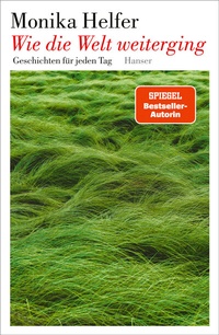 Abbildung von: Wie die Welt weiterging - Hanser