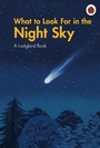 Cover: What to Look For in the Night Sky - Ladybird
