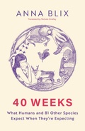 Cover: 40 Weeks - MacLehose Press