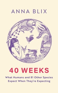 Enlarge image Cover: 40 Weeks - MacLehose Press