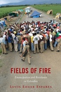 Cover: Fields of Fire - Lexington Books
