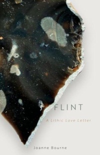 Enlarge image Cover: Flint - Eye