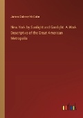 Cover: New York by Sunlight and Gaslight. A Work Descriptive of the Great American Metropolis - Outlook Verlag