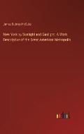 Cover: New York by Sunlight and Gaslight. A Work Descriptive of the Great American Metropolis - Outlook Verlag