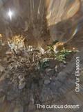 Cover: Olafur Eliasson - Silvana