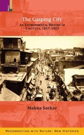 Cover: The Gasping City - RATNA SAGAR