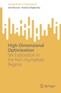 Cover: High-Dimensional Optimization - Springer