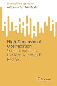 Abbildung von: High-Dimensional Optimization - Springer