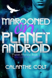 Enlarge image Cover: Marooned on Planet Android - Centauri Publishing