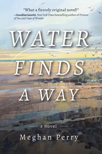 Abbildung von: Water Finds a Way a novel - Delphinium Books, Inc