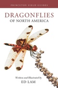 Abbildung von: Dragonflies of North America - Princeton University Press