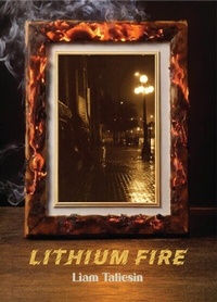 Abbildung von: Lithium Fire - Bookland Press Inc.