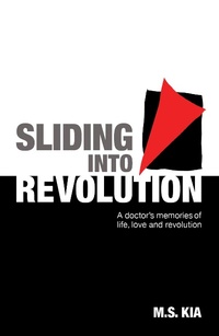 Abbildung von: Sliding into Revolution - M.S.Kia
