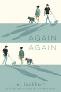 Cover: Again Again - Hoopoe