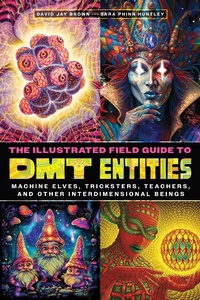 Bild: The Illustrated Field Guide to DMT Entities - Park Street Press,U.S.