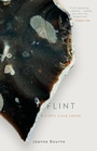 Cover: Flint - Eye Press