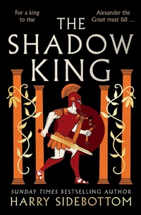 Enlarge image Cover: The Shadow King - Zaffre