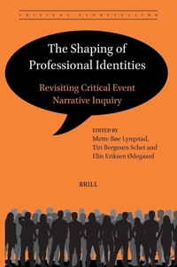 Enlarge image Cover: The Shaping of Professional Identities - Brill