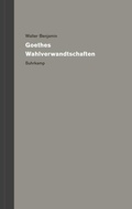 Bild: Werke und Nachla&szlig;. Kritische Gesamtausgabe - Suhrkamp