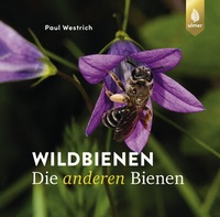 Abbildung von: Wildbienen, die anderen Bienen - Verlag Eugen Ulmer