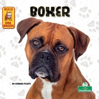 Enlarge image Cover: Boxer - Crabtree Seedlings