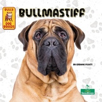Enlarge image Cover: Bullmastiff - Crabtree Seedlings