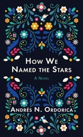 Cover: How We Named the Stars - Thorndike Press Large Print