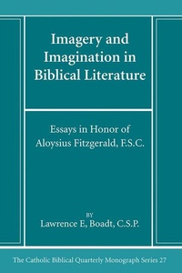Enlarge image Cover: Imagery and Imagination in Biblical Literature - Pickwick Publications