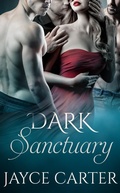 Cover: Dark Sanctuary - Entwined Publishing