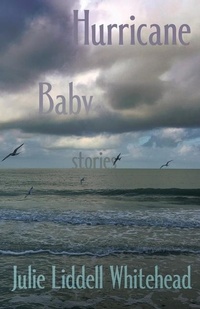 Abbildung von: Hurricane Baby - Madville Publishing LLC