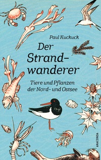 Abbildung von: Der Strandwanderer. Tiere und Pflanzen der Nord- und Ostsee - Anaconda Verlag